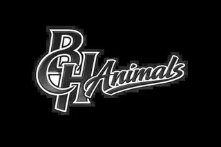 BCH Animals